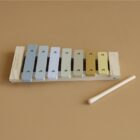 Xilófono Azul Little Dutch