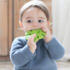 Monstera Deliciosa Lanco