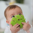 Monstera Deliciosa Lanco