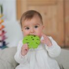 Monstera Deliciosa Lanco