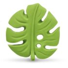 Monstera Deliciosa Lanco