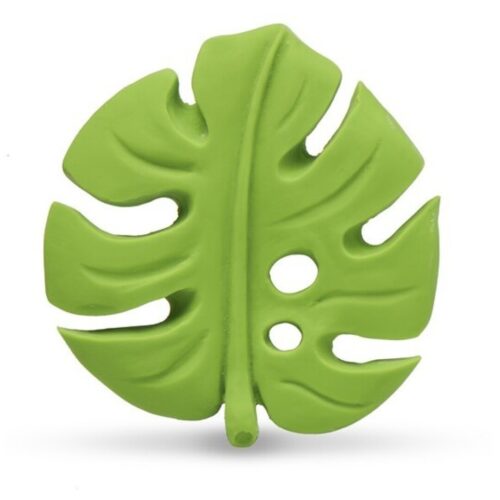 Monstera Deliciosa Lanco