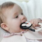 Nui The Penguin Lanco