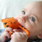 Nalu the Tiger Lanco