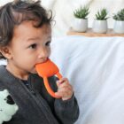 Nalu the Tiger Lanco