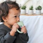 Kimo The Hippo Lanco