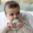 Kimo The Hippo Lanco