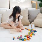 100 Cubos para Contar Plantoys