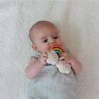 Mordedor Arco Iris Lanco