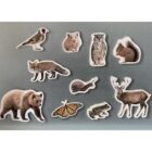 Imanes de Bambú de Animales del Bosque Nowordbooks