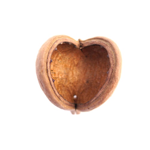 Semilla Corazón Buddha