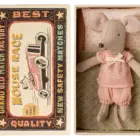 Hermana pequeña ratón en caja de cerillas