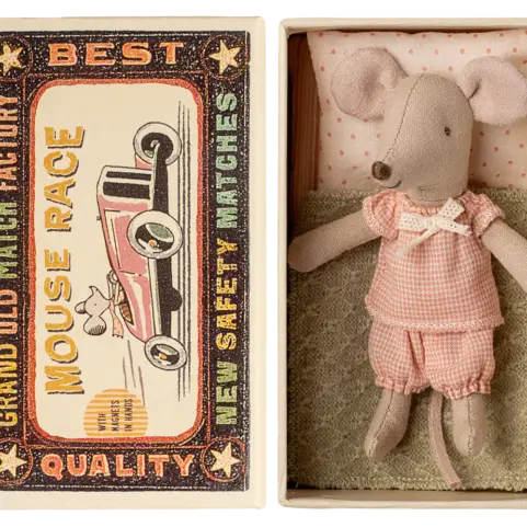 Hermana pequeña ratón en caja de cerillas