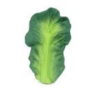 Kendall the Kale Mordedor