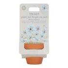 Maceta Planta Nomeolvides Little Dutch