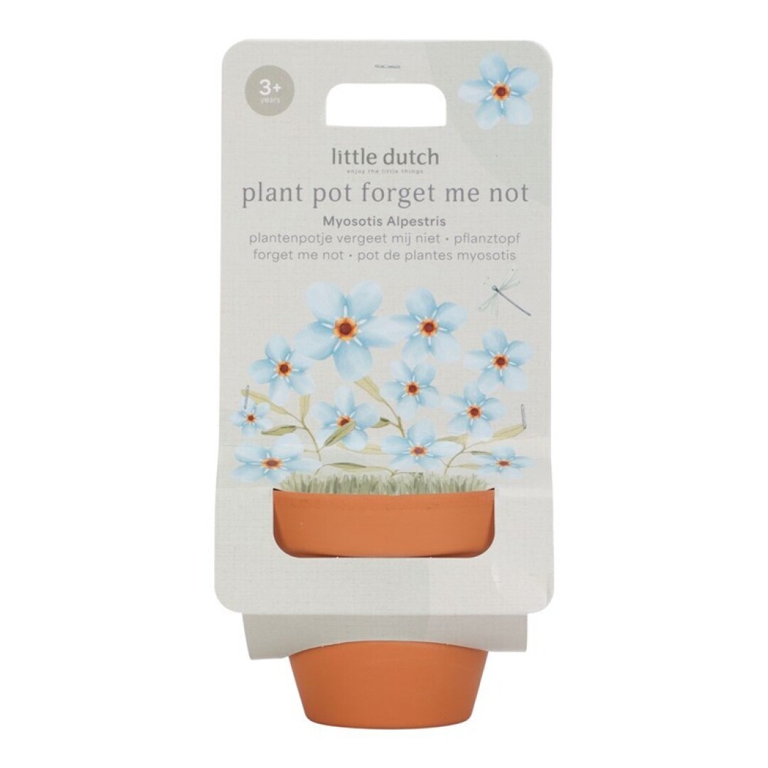 MACETA PLANTA NO ME OLVIDES LITTLE DUTCH Maceta Planta Nomeolvides Little Dutch