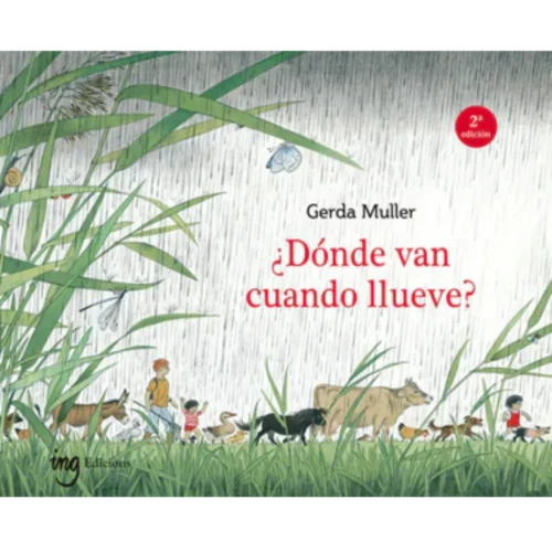 ¿DÓNDE VAN CUANDO LLUEVE?