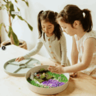 Kit Sensorial Fairy Garden Jellystone